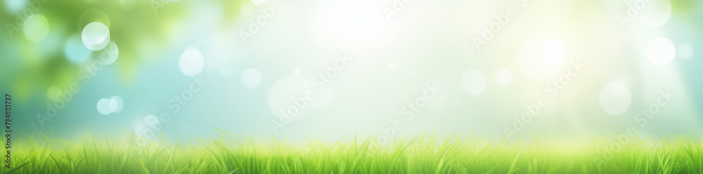 Beautiful spring summer natural landscape. Green meadow grass and flowers on blurred forest, garden or park background with bokeh lights on warm sunny day. Colorful bright nature panoramic banner.