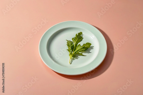 Image of a lettuce leaf lying on an empty white plate on a pastel peach background. Concept of diet, unhealthy weight loss. The problem of eating disorders.