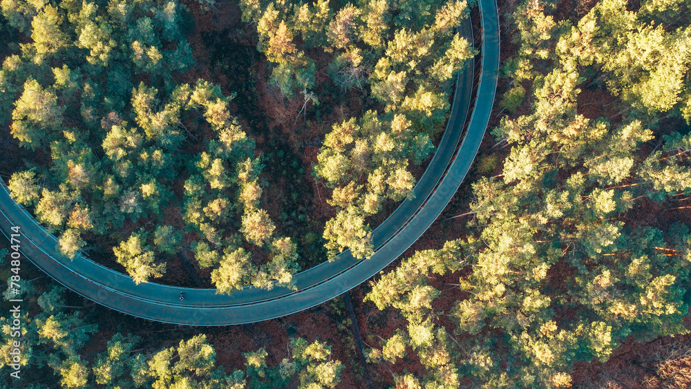 Obraz premium Cycling through the trees / Fietsen door de Bomen - Hechtel-Eksel (Bosland)