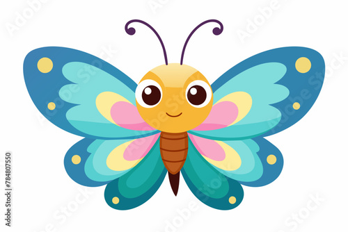 butterfly  vector illustration