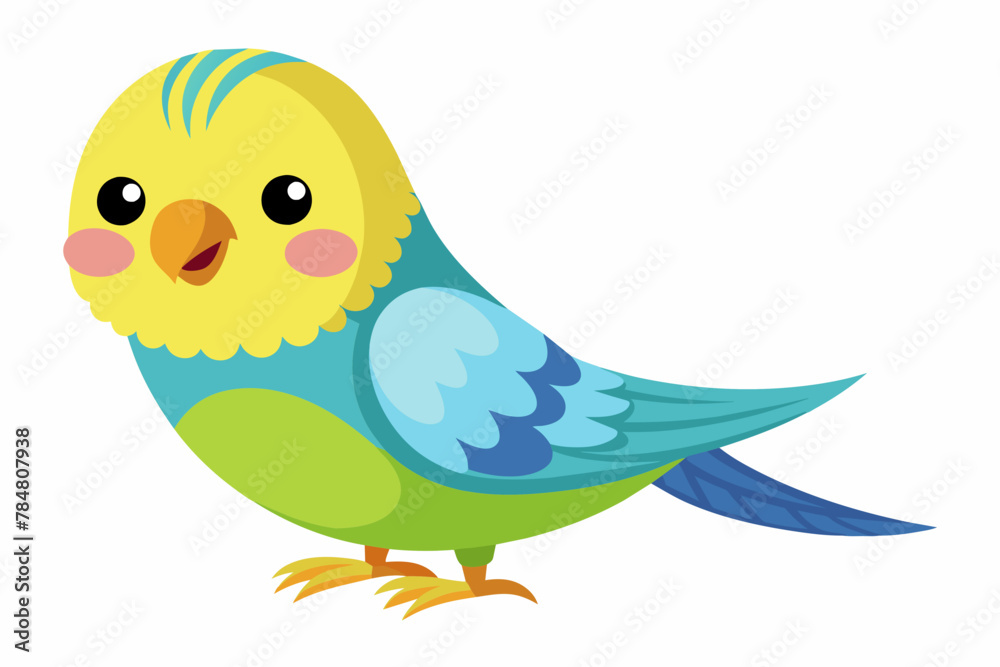 budgerigar budgie bird vector illustration budgerigar budgie bird vector illustration