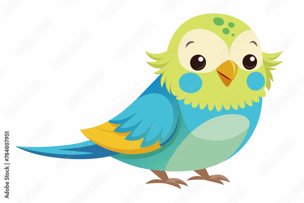 budgerigar budgie bird vector illustration budgerigar budgie bird vector illustration