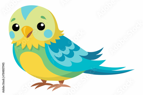 budgerigar budgie bird vector illustration