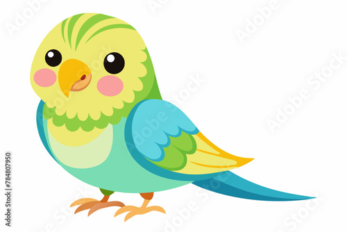 budgerigar budgie bird vector illustration © Shiju Graphics