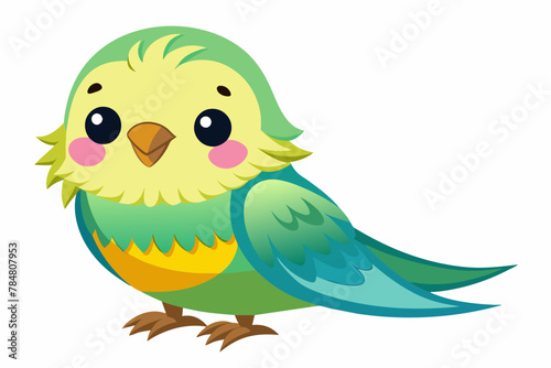 budgerigar budgie bird vector illustration