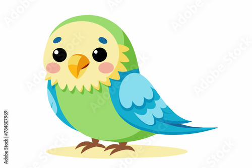 budgerigar budgie bird vector illustration