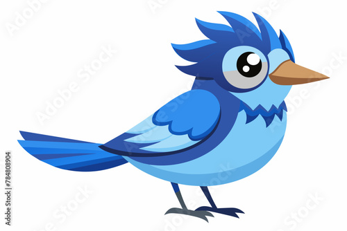 blue jay bird vector illustration