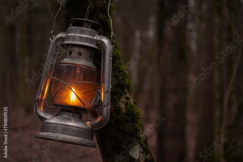 A kerosene lantern shines near a mossy tree photo