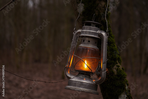 Old kerosene lantern shines in the autumn forest