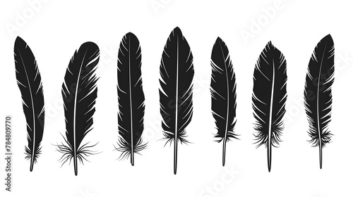 Bird Feather black silhouettes. Plumelet collection. Vector isolated on white
 photo