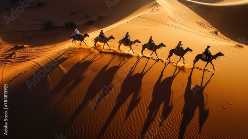 Desert caravan 