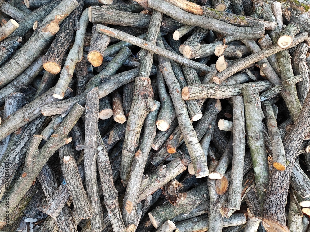 Cut wooden tree trunks to burn and make the house warmer Cut wooden tree trunks to burn and make the house warmer