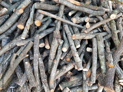 Cut wooden tree trunks to burn and make the house warmer