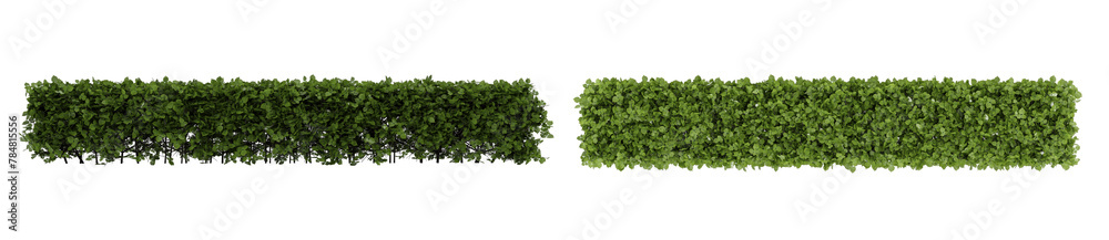 green bush set isolated on white background. Nature and plant collection. green bush set isolated on white background. Nature and plant collection.