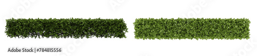 Foto green bush set  isolated on white background