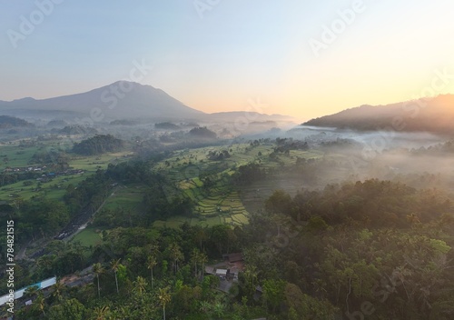 Aerial views of jungle during a sunrise in Bali, Indonesia