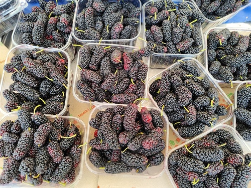Fresh black mulberries on the market shelf