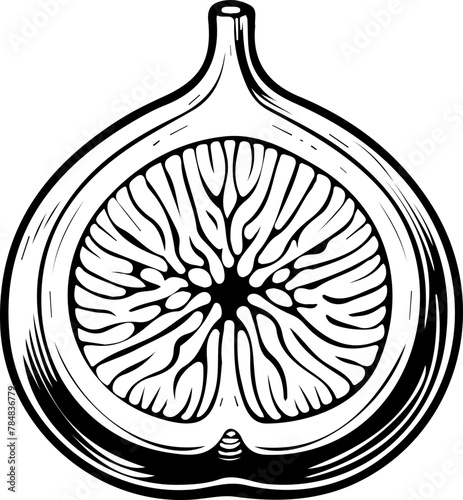 Figue coupée. Fruit isolé pour page ou livre de coloriage adapté adulte ou enfant, dessin au trait et fond totalement transparent 