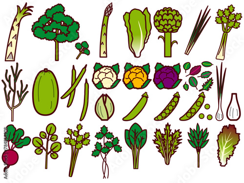 野菜セット3