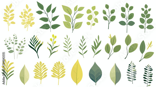 Vector plants branches and leaves collection with v