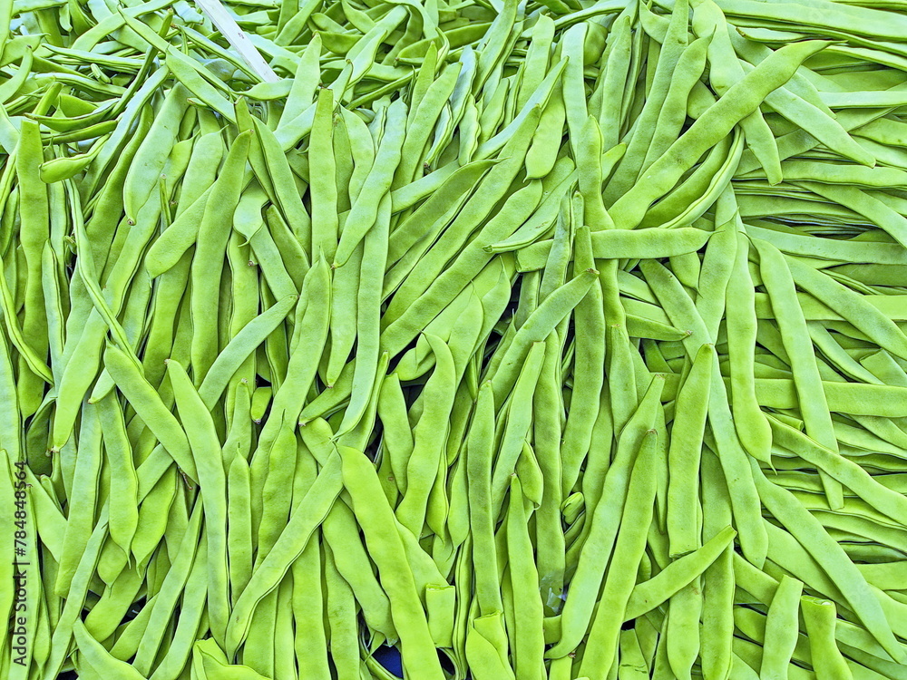 2024 spring harvest green beans for sale at farmer's market stand 2024 spring harvest green beans for sale at farmer's market stand