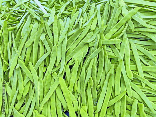 2024 spring harvest green beans for sale at farmer's market stand