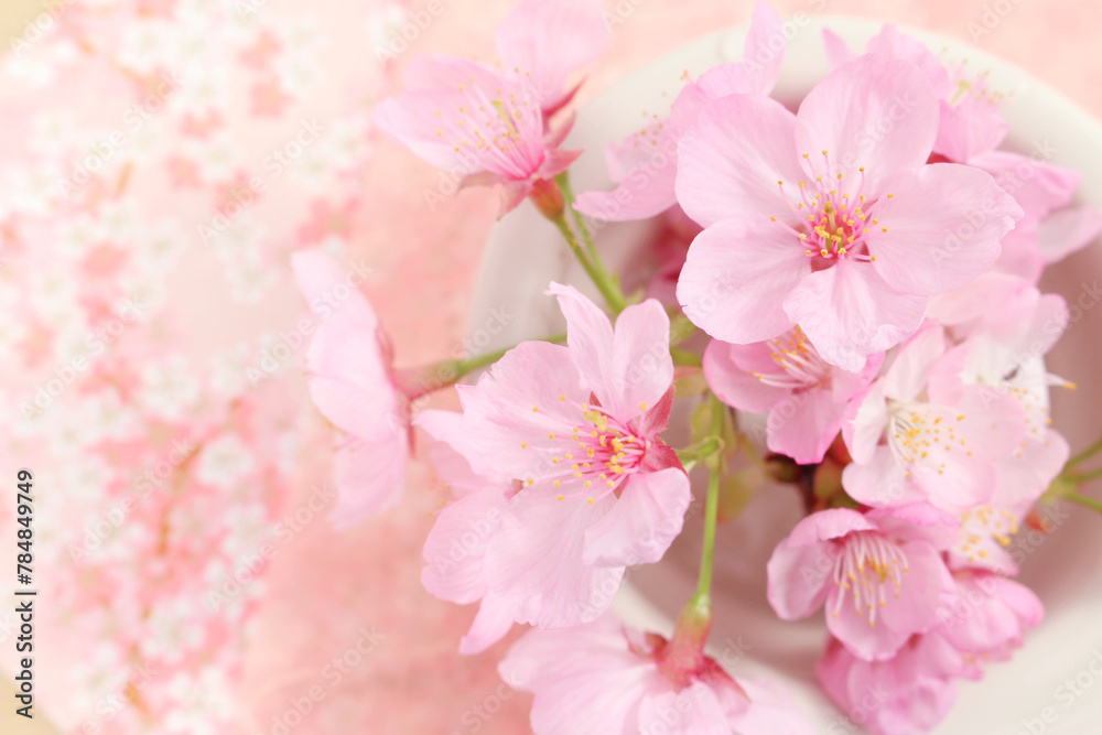 桜の背景 桜の背景