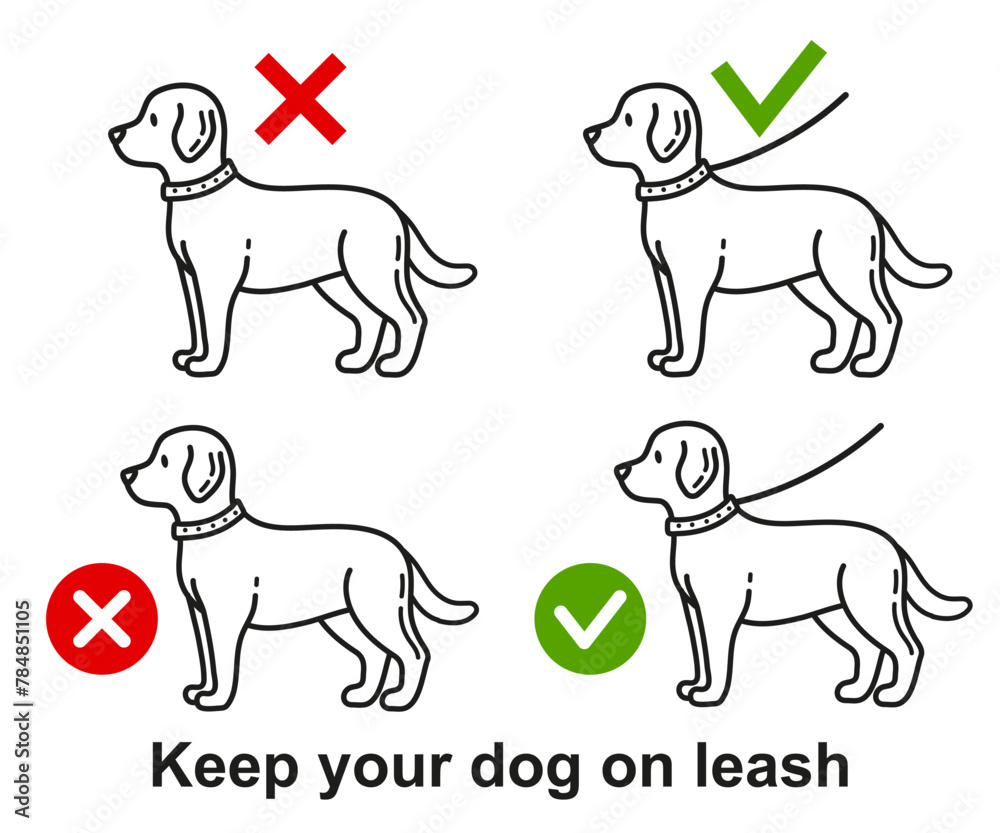 Dog walking with leash allowed, person keep doggy pet on lead in public park zone line icon set. Prohibition sign canine domestic animal stroll outdoor without collar. Labrador puppy training. Vector Dog walking with leash allowed, person keep doggy pet on lead in public park zone line icon set. Prohibition sign canine domestic animal stroll outdoor without collar. Labrador puppy training. Vector