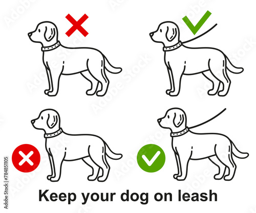 Dog walking with leash allowed, person keep doggy pet on lead in public park zone line icon set. Prohibition sign canine domestic animal stroll outdoor without collar. Labrador puppy training. Vector