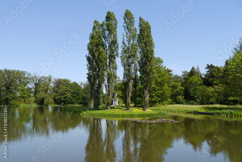 Pappeln am Wörlitzer See im Wörlitzer Park im Dessau-Wörlitzer Gartenreich