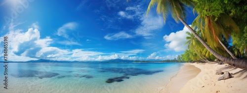 Beautiful tropical beach paradise with palm trees and blue sky and clouds panorama.