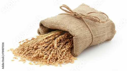 long rice in burlap sack with ears isolated on white background photo