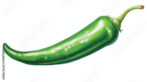 Watercolor illustrated green paprika jalapeno chili photo