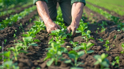 A farmer is shown spreading a biodegradable mulch over rows of young crops. The mulch is a vibrant green color and is made from organic materials promising to help conserve water as .