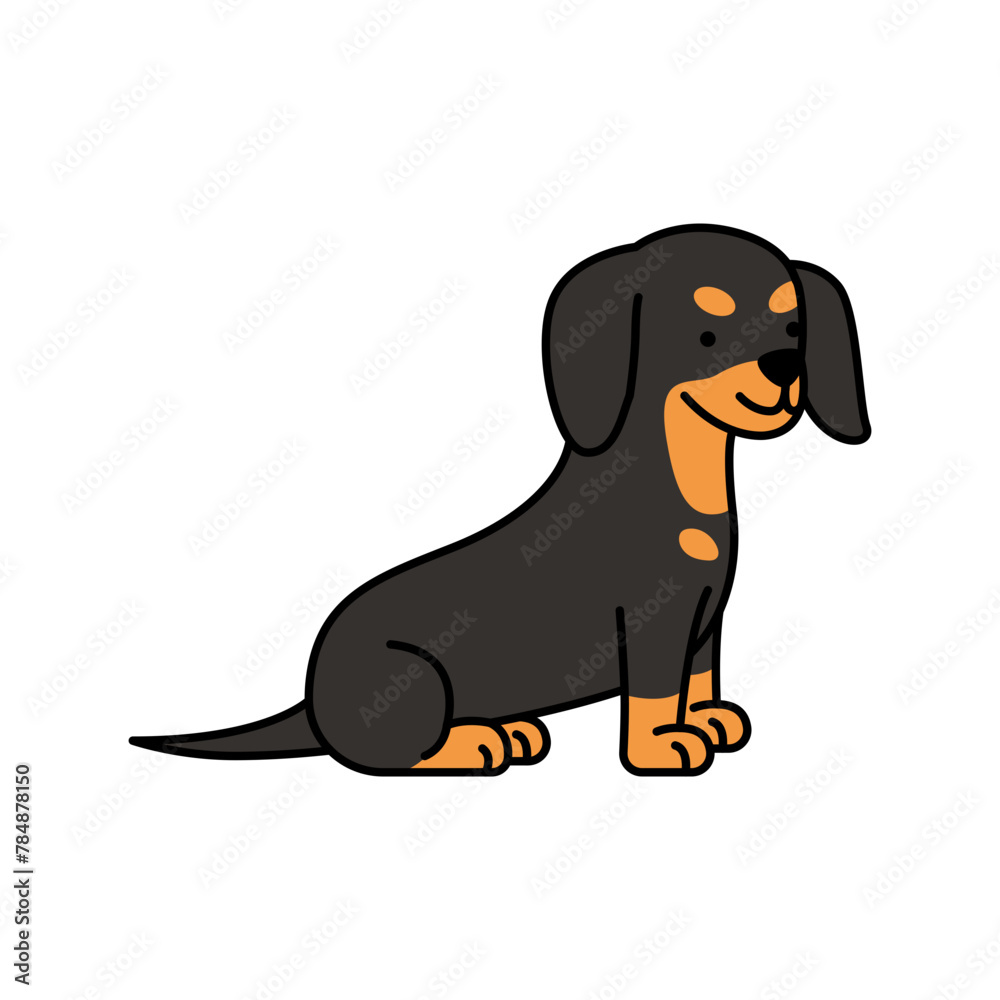 Cute dachshund dog vector illustration
