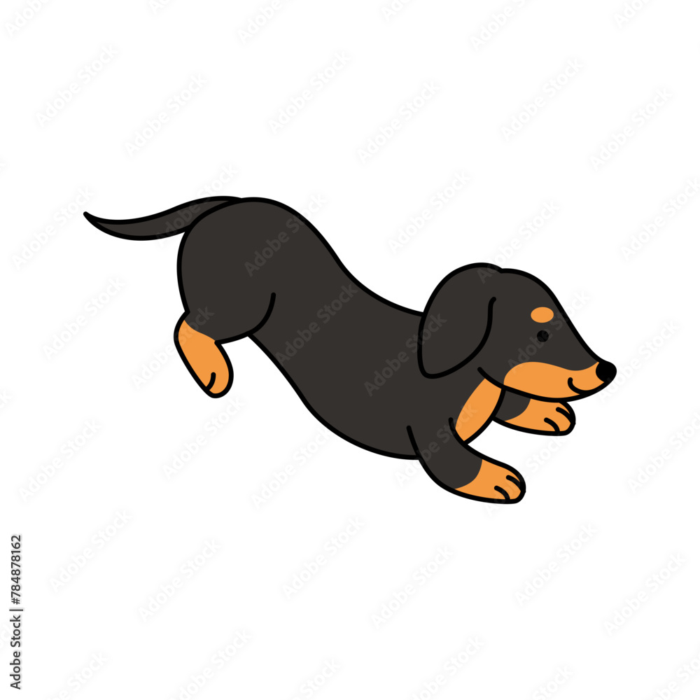 Cute dachshund dog vector illustration