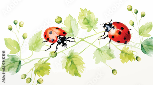 Watercolor illustration of two lady bugs with succu