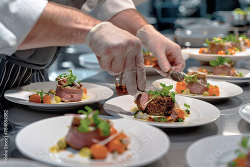Art of Presentation: Chef's Hands Plating Lavish Dishes for Catering—A Focus on the Color and Texture of Food for Gourmets
