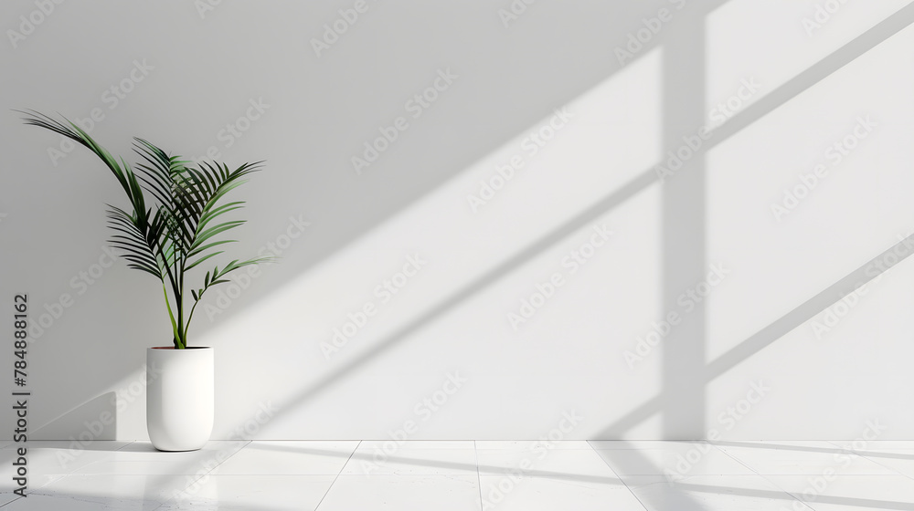 Minimalist photography background