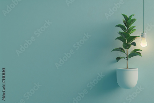 plant in a pot with light bulb