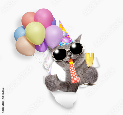 Happy cat wearing sunglasses and party cap blows in party horn and looks through a hole in white paper, holds balloons and glass of champagne
