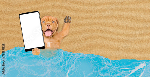 Funny Mastiff puppy lying at beach and showing big smartphone with white blank screen in it paw. Empty space for text