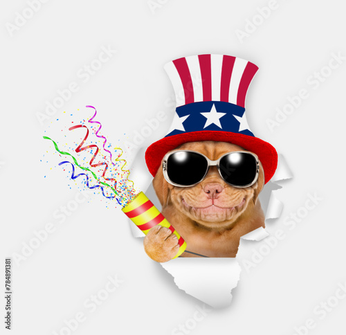 Happy Mastiff puppy wearing like Uncle Sam explodes a firecracker through the hole in white paper