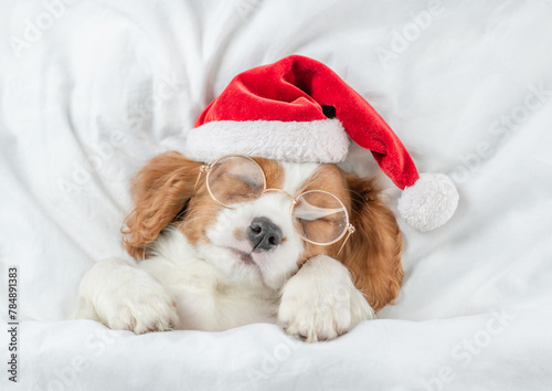 Cute Cavalier King Charles Spaniel puppy wearing red santa hat sleeps under white blanket  on a bed at home. Top down view