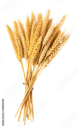 PNG Wheat bundle food white background agriculture