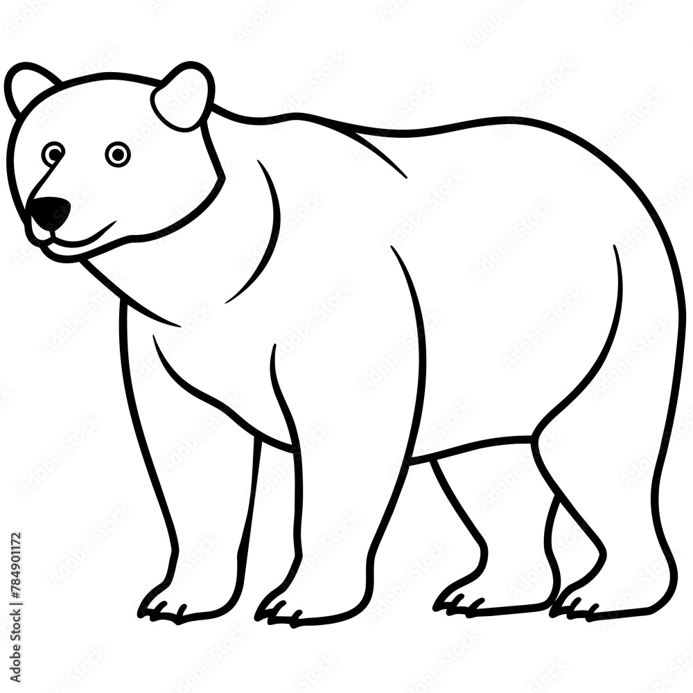 illustration of a polar bear illustration of a polar bear