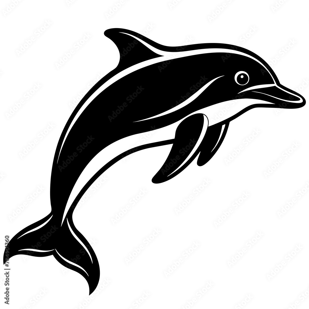 dolphin isolated on white dolphin isolated on white