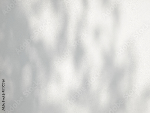 Leaf shadow and light on white concrete wall background