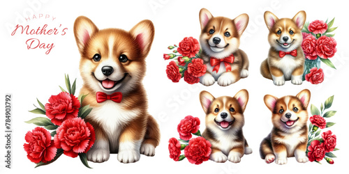 Corgi puppy and red carnation watercolor illustration material set