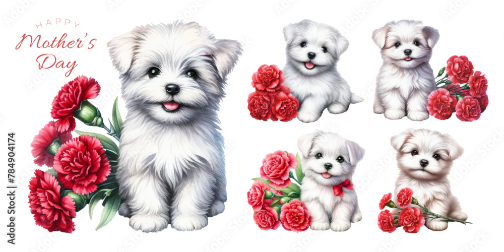 Maltese puppy and red carnation watercolor illustration material set